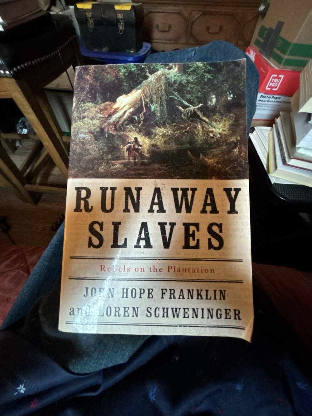 Runaway Slaves: Rebels on the Plantation by John Hope Franklin Paperback